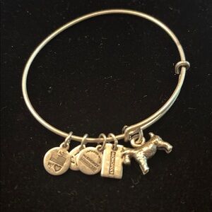 Alex Ani Monopoly Schnowzer Charm Bangle Bracelet